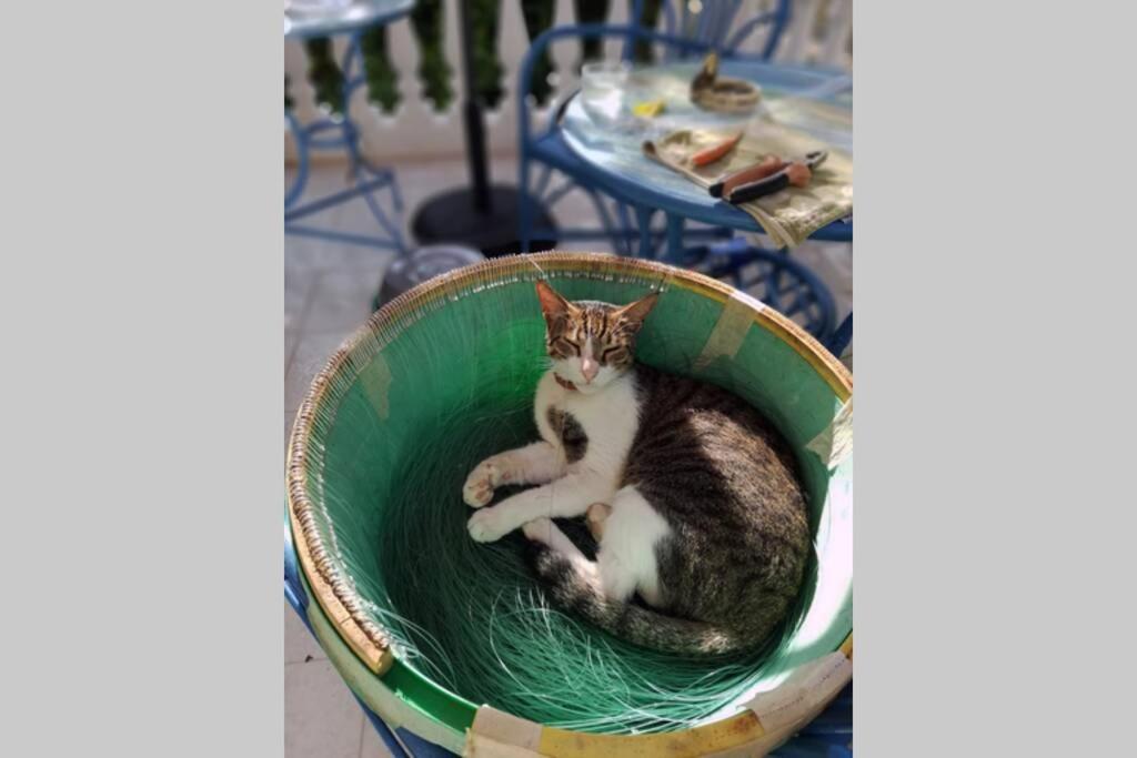 Ueber Den Daechern Von Koroni Buitenkant foto
